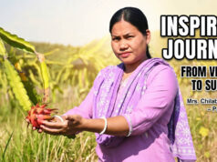 Dragon fruit farming success | Women Empowerment in karbook Dragon fruit farming success