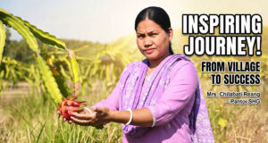 Dragon fruit farming success | Women Empowerment in karbook Dragon fruit farming success