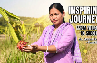 Dragon fruit farming success | Women Empowerment in karbook Dragon fruit farming success