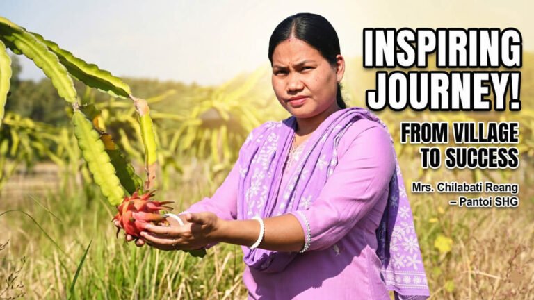 Dragon fruit farming success | Women Empowerment in karbook