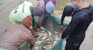 TRESP Livelihood Success at Karbook R.D. Block Strengthens TRESP livelihood success