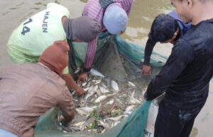 TRESP Livelihood Success at Karbook R.D. Block Strengthens TRESP livelihood success