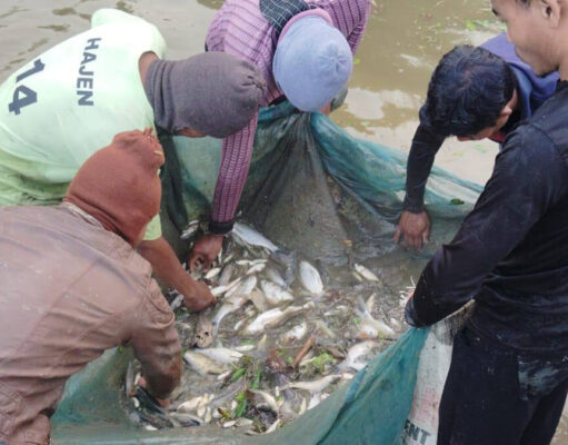 TRESP Livelihood Success at Karbook R.D. Block Strengthens TRESP livelihood success