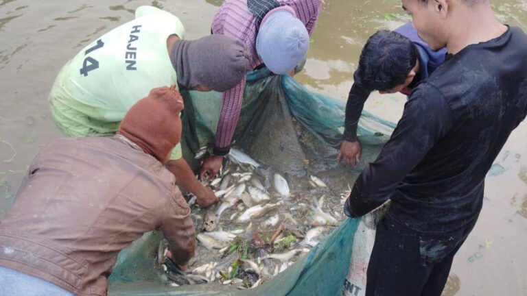TRESP Livelihood Success at Karbook R.D. Block Strengthens