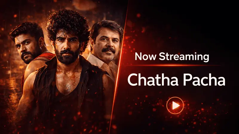 Chatha Pacha OTT Release Where to Watch Online