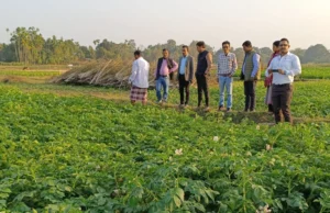 Central Team Reviews Development Initiatives in North District DDU GKY Central Team