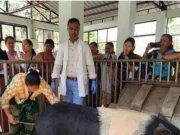 TRESP Exposure Visit to ICAR–NRC on Pig Assam Boosts Scientific Pig Farming Skills TRESP exposure visit ICAR NRC Pig Assam