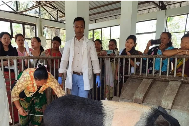 TRESP exposure visit ICAR NRC Pig Assam TRESP exposure visit ICAR NRC Pig Assam