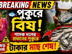 Tripura Panchayat Head’s Fish Pond Allegedly Poisoned, Police Probe Tripura fish pond poisoning